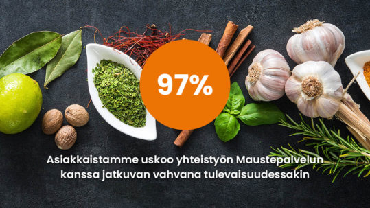 Maustepalvelun asiakastyytyväisyys vuonna 2024